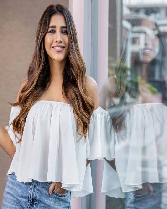 nabha natesh_teluguvox 4